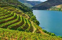 Private Tour of Peljesac Peninsula with Optional Wine Tasting