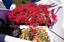 Private Unseen Authentic Santorini Half Day Shore Excursion