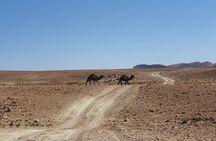  Marrakech Natural wonders 07 Days