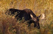 Private Snake River Scenic Float with Teton Views
