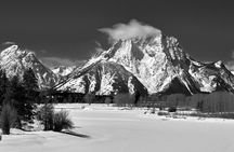 Grand Teton Winter Wildlife Tour