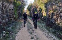 Lim bay to Rovinj bike tour from 