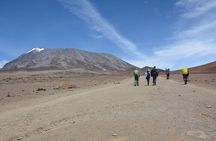 5 Days | 4 Nights Kilimanjaro Marangu Route Trekking