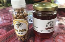 Stingless Bee Honey Farm and Beekeeping Tour