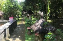 Stingless Bee Honey Farm and Beekeeping Tour