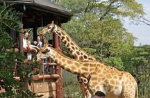 Day Tour to Nairobi National Park and Giraffe Center