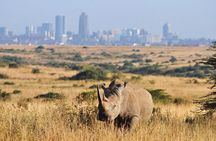 Day Tour to Nairobi National Park and Giraffe Center