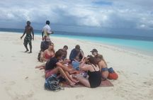 6 Days Tanzania National Parks camping group Tour 