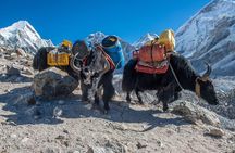 14 Days Private Tour Everest Base Camp Trek