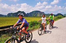 Private Ninh Binh Full Day (Bich Dong -Tam coc -Mua cave- Biking)
