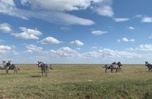 3 Days Lake Manyara, Tarangire, Ngorongoro Crater group (Camping)