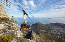 Table Mountain-Wines-Penguins-Cape Point All Inclusive Group Tour