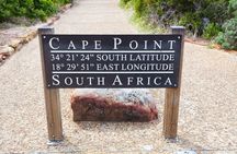 Private Table Mountain Penguins & Cape Point Tour from Cape Town