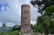 Private Half-Day Tour to El Yunque Rainforest 