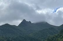Private Half-Day Tour to El Yunque Rainforest 