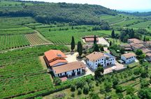 Amarone Wine Tasting from Verona