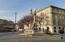 Private Bratislava City & Castle Tour with Sebastian