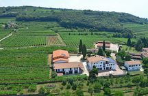 Amarone Wine Tasting in Valpolicella