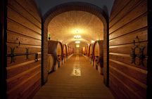 Amarone Wine Tasting in Valpolicella