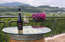 Amarone Wine Tasting in Valpolicella