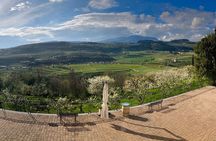 Amarone Wine Tasting from Verona