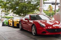 8 Hours Exotic Car Rally Experience - Miami-Islamorada-Miami, FL