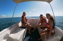 Cancun Whale Shark Small Group Tour on Spacious Boat w Transport
