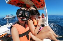Cancun Whale Shark Small Group Tour on Spacious Boat w Transport