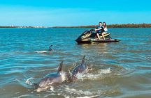 Ten Thousand Island Jet Ski Eco Tour - Marco Island