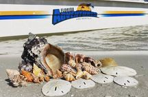 Marco Island Wildlife Sightseeing and Shelling Tour 