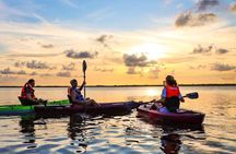 Cancun Lagoon Sunrise Kayak Adventure