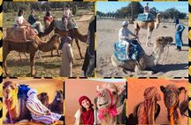 Dromedary Safari: 2 hours