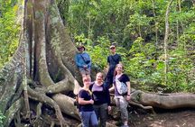 Rainforest Wildlife, Panama Hat makers, Traditional Cuisine. SHORE TOUR