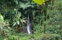 Keliki Village Tour And Rice Field Walk Including Lunch Or Dinner
