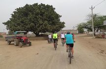 Jaipur Village Cycling Safari