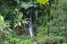 Keliki Village Tour And Rice Field Walk Including Lunch Or Dinner