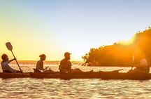 Cancun Lagoon Sunset Kayak Adventure