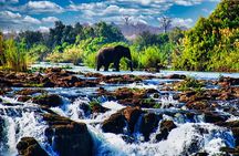  Unique Safari Game Drives in Zambezi National Park, 4 Options