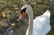 Full day Krka national park tour