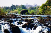  Guided Tour of the Falls (ZIM side) Wildlife Safari, by Savannah