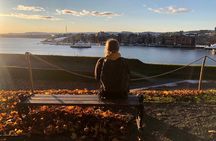 Oslo Unveiled: Private Walking Tour