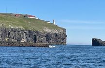 Sightseeing Around Nólsoy to see Puffins