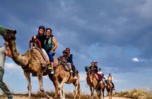 Cappadocia Camel Ride Tour