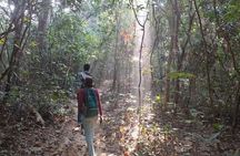 Full Day Sreemangal Tea Garden & National Park Hiking Tour
