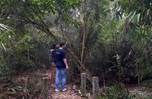 Full Day Sreemangal Tea Garden & National Park Hiking Tour