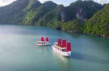 Halong Amazing Sail Luxury 1 Day Small Group Tour 7-Hour Cruising