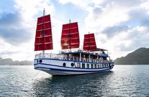 Halong Amazing Sail Luxury 1 Day Small Group Tour 7-Hour Cruising