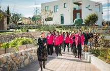 Green Line: Dalmatia For Nature Lovers with Sightseeing Bus