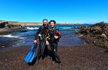 Private Scuba Diving in Tenerife – Certified Instructor & Photos