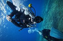 Private Scuba Diving in Tenerife – Certified Instructor & Photos
